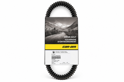 Can-Am 422280366
