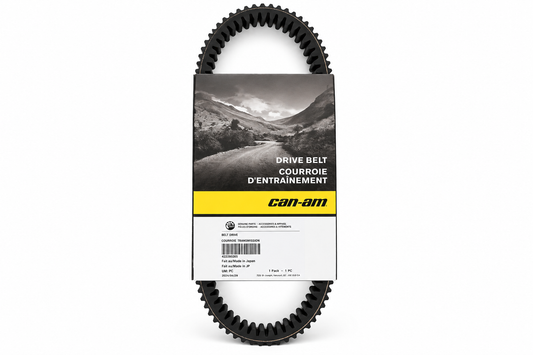 Can-Am 422280366